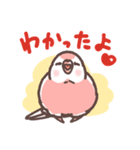 アキクサインコLINEスタンプ3（個別スタンプ：7）