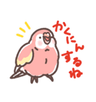 アキクサインコLINEスタンプ3（個別スタンプ：8）