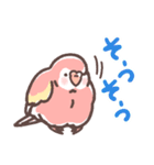 アキクサインコLINEスタンプ3（個別スタンプ：9）