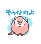 アキクサインコLINEスタンプ3（個別スタンプ：10）