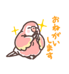 アキクサインコLINEスタンプ3（個別スタンプ：12）