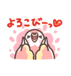 アキクサインコLINEスタンプ3（個別スタンプ：16）