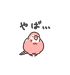 アキクサインコLINEスタンプ3（個別スタンプ：19）