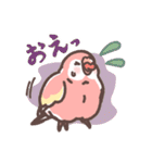 アキクサインコLINEスタンプ3（個別スタンプ：20）