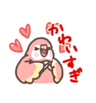 アキクサインコLINEスタンプ3（個別スタンプ：21）