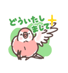 アキクサインコLINEスタンプ3（個別スタンプ：24）