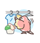 アキクサインコLINEスタンプ3（個別スタンプ：25）