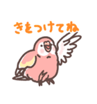 アキクサインコLINEスタンプ3（個別スタンプ：35）