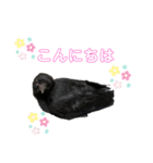 かたあしトトちゃん（個別スタンプ：2）