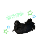 かたあしトトちゃん（個別スタンプ：3）