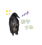 かたあしトトちゃん（個別スタンプ：4）