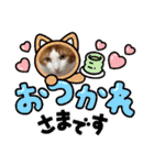 ねこのとろちゃんスタンプです（個別スタンプ：12）