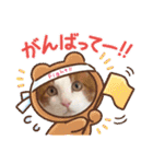 ねこのとろちゃんスタンプです（個別スタンプ：26）