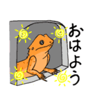 愉快なフトアゴヒゲトカゲ（個別スタンプ：3）