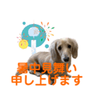 ご挨拶ダックス（個別スタンプ：13）