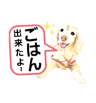 lovelyダックスフンド・アンの家族連絡用♡（個別スタンプ：1）