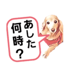 lovelyダックスフンド・アンの家族連絡用♡（個別スタンプ：23）