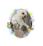 チェリン（個別スタンプ：3）