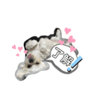 チェリン（個別スタンプ：4）