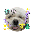 チェリン（個別スタンプ：7）