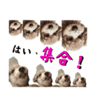 リンとユウのスタンプ6（個別スタンプ：2）