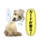 リンとユウのスタンプ6（個別スタンプ：3）
