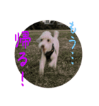 リンとユウのスタンプ6（個別スタンプ：4）