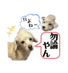 リンとユウのスタンプ6（個別スタンプ：6）