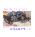 大好きな彼女に宝石博士（個別スタンプ：4）