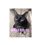 大好きな彼女に宝石博士（個別スタンプ：15）