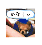 でんずくスタンプ②（個別スタンプ：6）