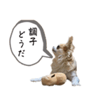 でんずくスタンプ②（個別スタンプ：9）