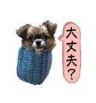 でんずくスタンプ②（個別スタンプ：10）
