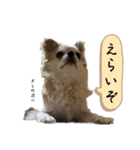 でんずくスタンプ②（個別スタンプ：14）