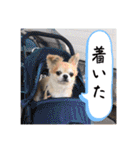 でんずくスタンプ②（個別スタンプ：22）