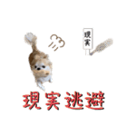 でんずくスタンプ②（個別スタンプ：26）
