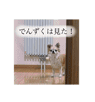 でんずくスタンプ②（個別スタンプ：30）