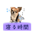 でんずくスタンプ②（個別スタンプ：39）