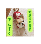 でんずくスタンプ②（個別スタンプ：40）