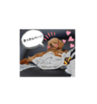 ポメプーのまろんちゃん（個別スタンプ：5）