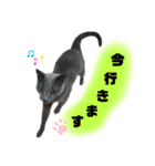 毎日使える！るるの日常（個別スタンプ：4）