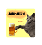 毎日使える！るるの日常（個別スタンプ：8）