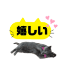 毎日使える！るるの日常（個別スタンプ：16）