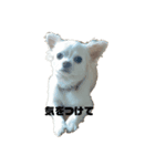 ななちゃん7歳（個別スタンプ：1）