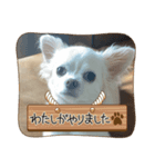 ななちゃん7歳（個別スタンプ：8）