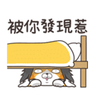 ランラン猫 38 (台湾版)（個別スタンプ：40）