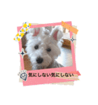 天使cocoちゃん（個別スタンプ：4）