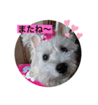 天使cocoちゃん（個別スタンプ：5）