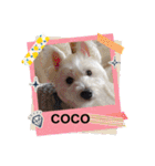 天使cocoちゃん（個別スタンプ：7）