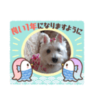 天使cocoちゃん（個別スタンプ：22）